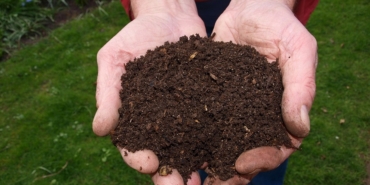 son dakika izmir haberleri, izmir
