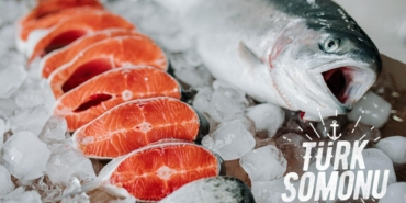 Su ürünleri ihracatı 2023 yılında 1,7 milyar dolara ulaştı