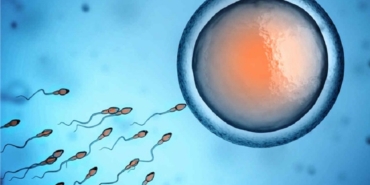 Kıbrıs'ta Tüp Bebek Tedavisi Fiyatlar ve Merkezler