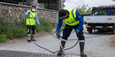 İzmir’de sivrisinek ve haşere ile mücadele yöntemleri
