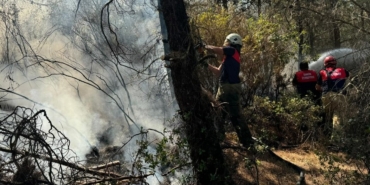 son dakika izmir haberleri, izmir