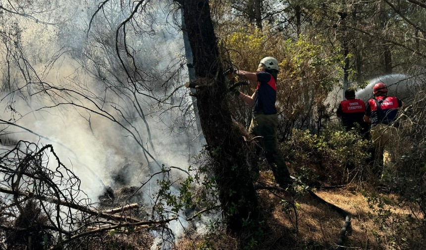 son dakika izmir haberleri, izmir