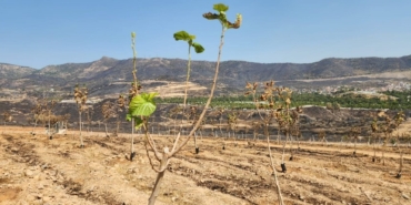 son dakika izmir haberleri