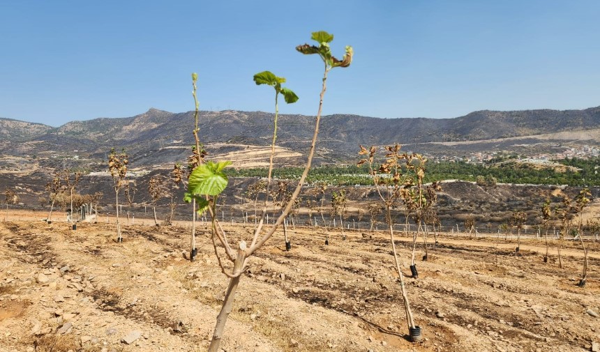 son dakika izmir haberleri