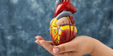 Kimler Donör Olabilir?