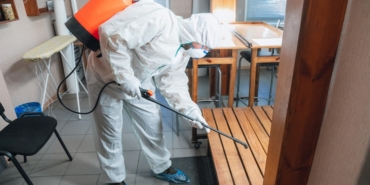 Böcek İlaçlama İşlemleri Günümüzde Neden Gereklidir?