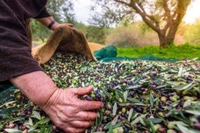 son dakika izmir haberleri, izmir