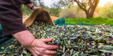 son dakika izmir haberleri, izmir