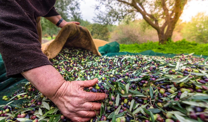 son dakika izmir haberleri, izmir