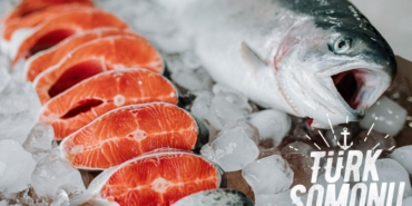 turk-somonu-ihracati