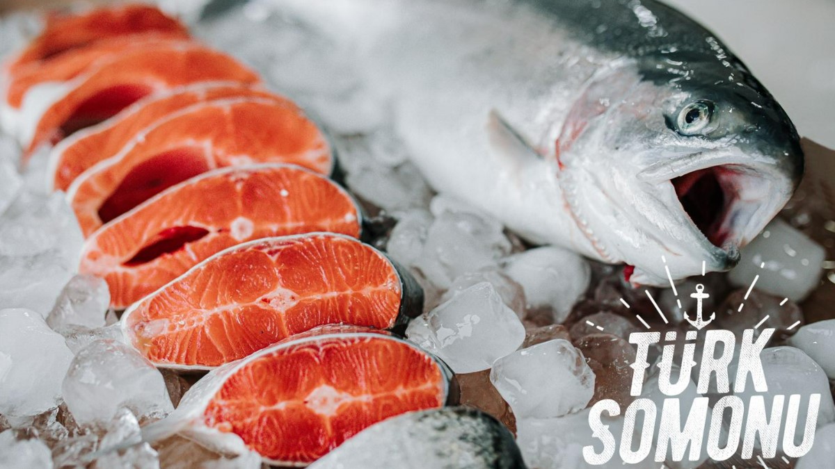 turk-somonu-ihracati