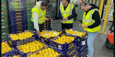 izmir-ege-bolgesi-meyve-sebze-ihracati