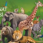 izmir-hayvanat-bahcesi-nerede-giris-ucreti