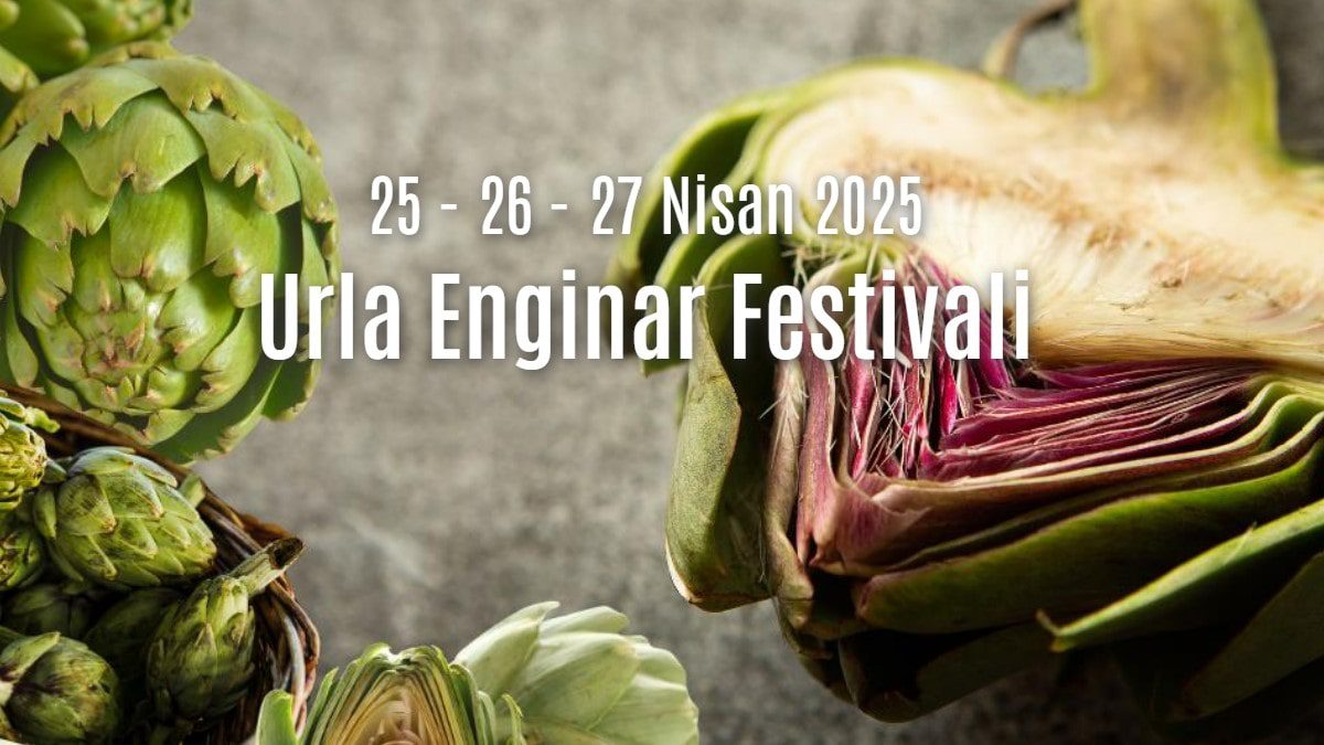 urla-enginar-festivali-ne-zaman-nerede-program-konser-etkinlikleri