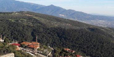 izmir-bornova-orman-yangini