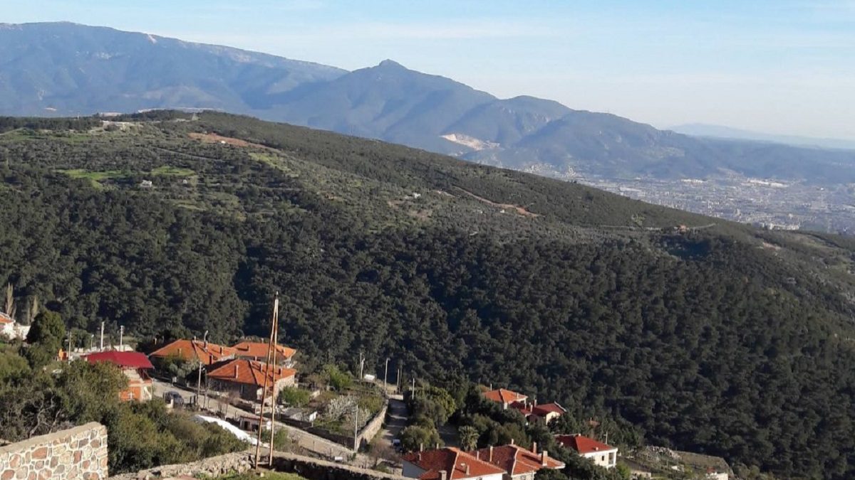 izmir-bornova-orman-yangini