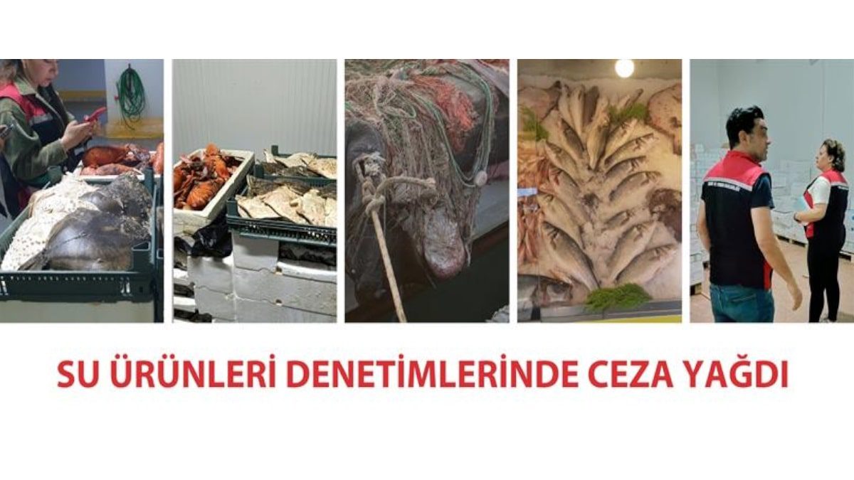 izmir-buca-selcuk-dikili-yasa-disi-avcilik-operasyonu