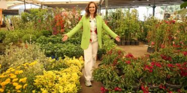 karsiyaka-cicek-festivali