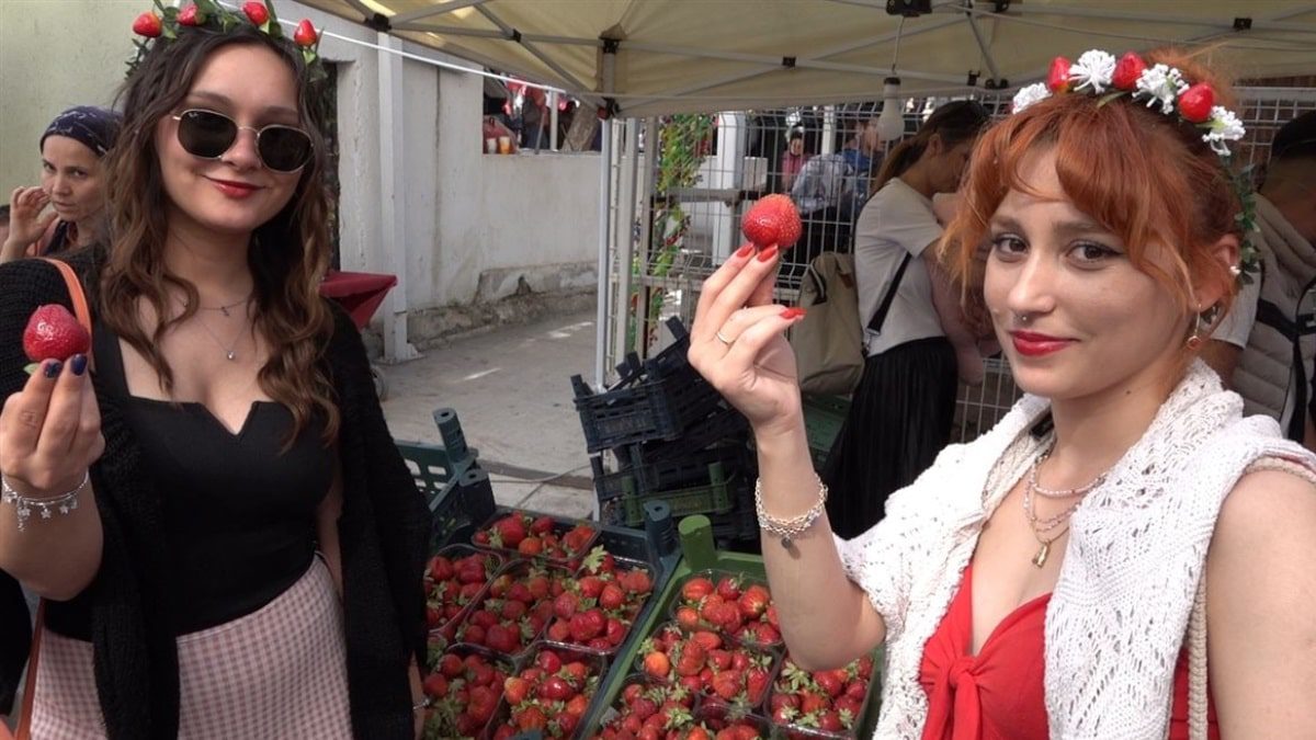 Emiralem Çilek Festivali