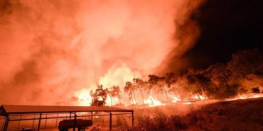 aliaga-bozkoy-orman-yangini-son-dakika