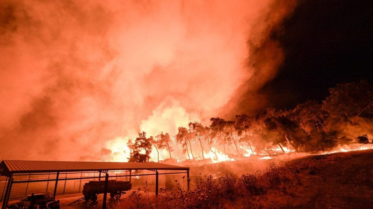 aliaga-bozkoy-orman-yangini-son-dakika