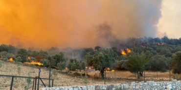 izmir-aliaga-foca-orman-yangini-son-dakika