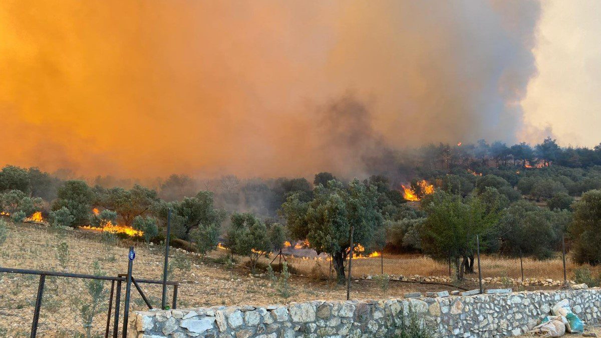 izmir-aliaga-foca-orman-yangini-son-dakika
