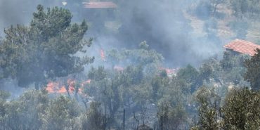 izmir-kinik-menderes-torbali-hobi-bahcesi-yangin