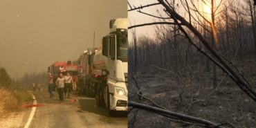 izmir-menderes-seferihisar-orman-yangini