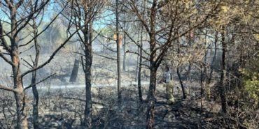 izmir-orman-yangini-son-dakika