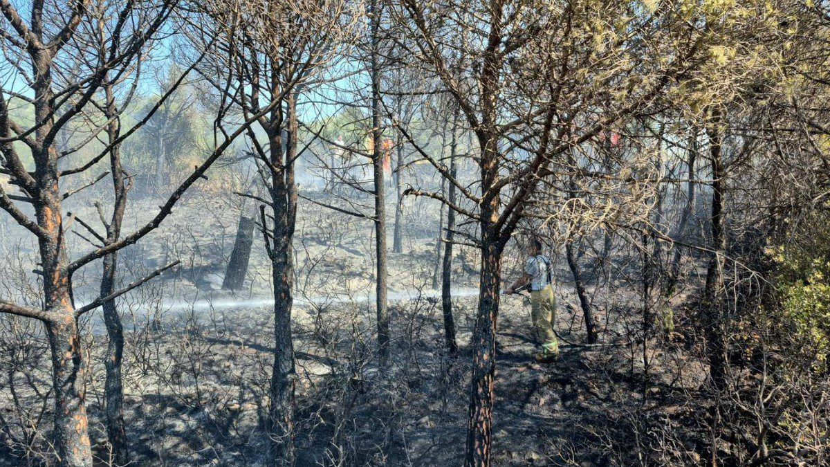 izmir-orman-yangini-son-dakika