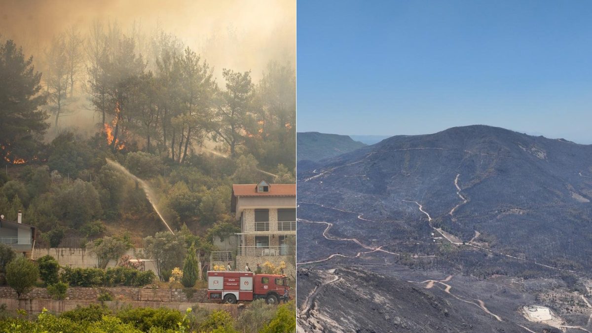 izmir-seferihisar-orman-yangini-menderes-orman-yangini-son-dakika