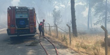 bergama-orman-yangini-son-dakika