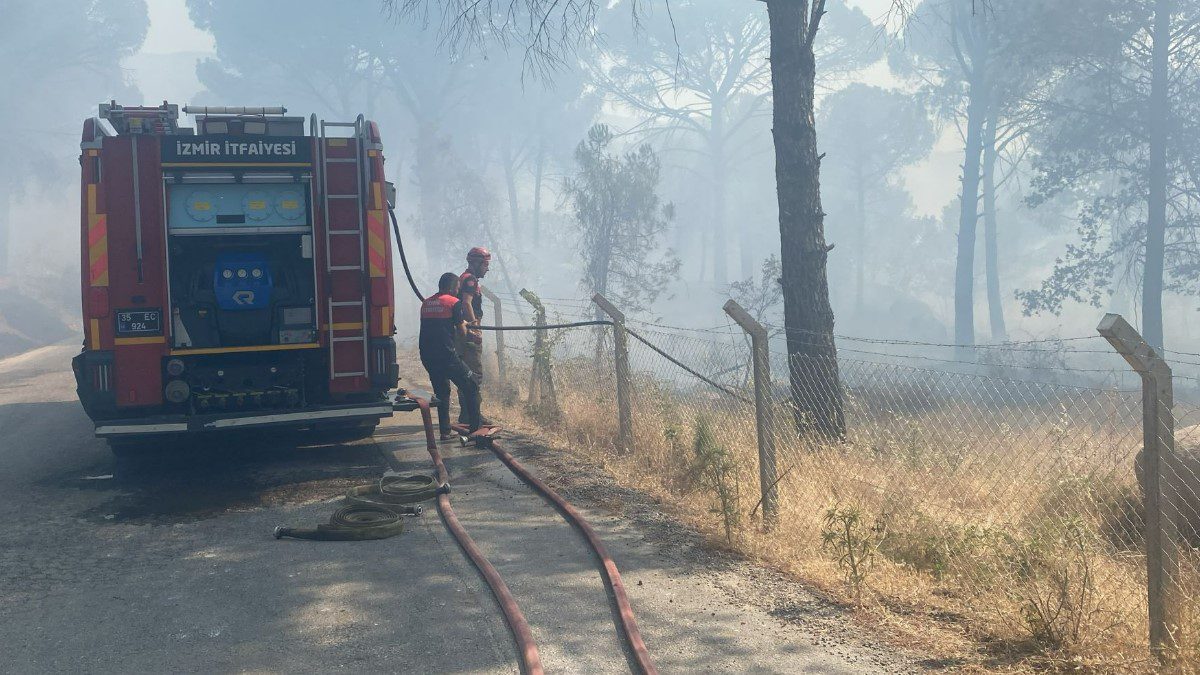 bergama-orman-yangini-son-dakika