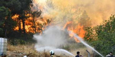 bornova-gokdere-orman-yangini-son-dakika