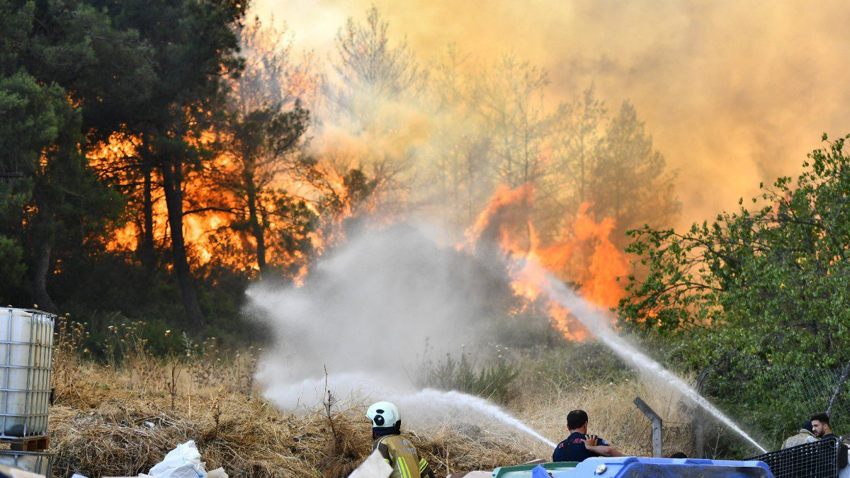 bornova-gokdere-orman-yangini-son-dakika