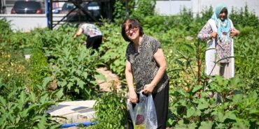 bornova-kent-bostanlari