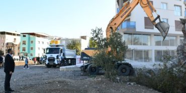 cigli-moloz-toplama-gunleri