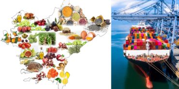 izmir-haziran-ihracat-rakamlari-2025-verileri