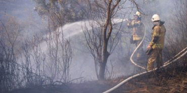 izmir-odemis-orman-yangini-son-dakika