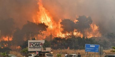 izmir-orman-yangini-risk-haritasi-2025