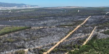 izmir-orman-yanginlari-2025-yanan-alanlar