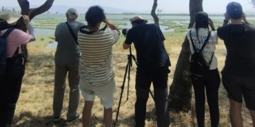 izmir-parkta-etkinlik-var-2025-gezi-rotasi