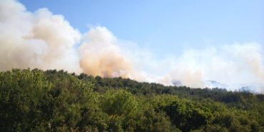 izmir-urla-aliaga-orman-yangini-son-dakika