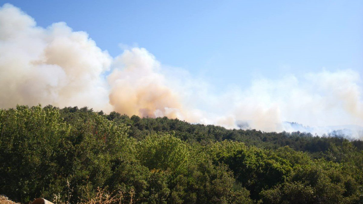 izmir-urla-aliaga-orman-yangini-son-dakika