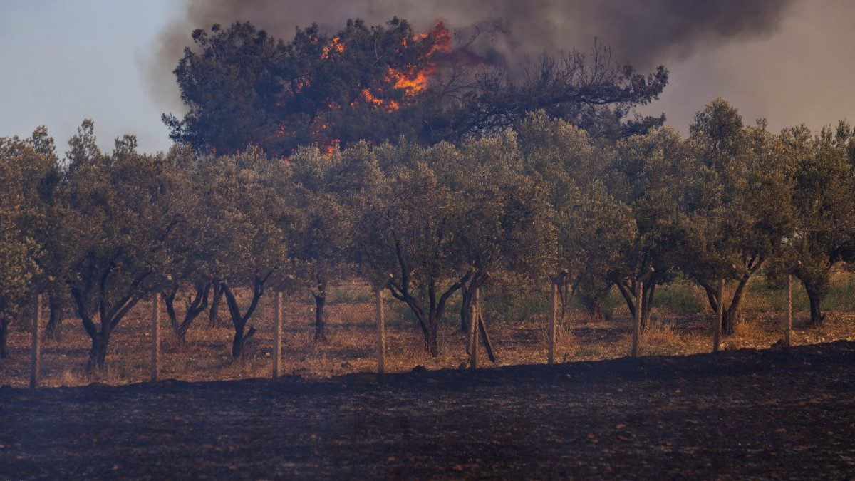 izmirde-ne-kadar-tarim-alani-yandi