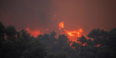 odemis-orman-yangini-temmuz-2025