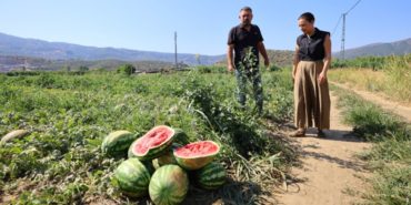 selcuklu-karpuz-ureticisi