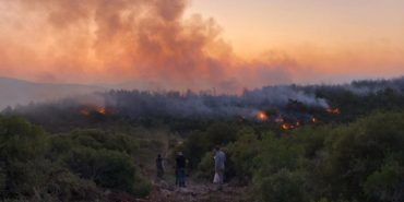 urla-kuscular-orman-yangini-son-dakika