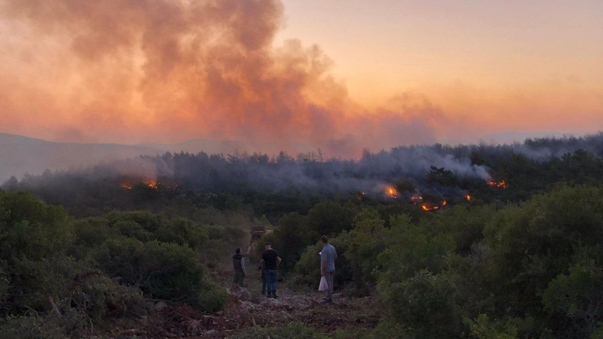 urla-kuscular-orman-yangini-son-dakika